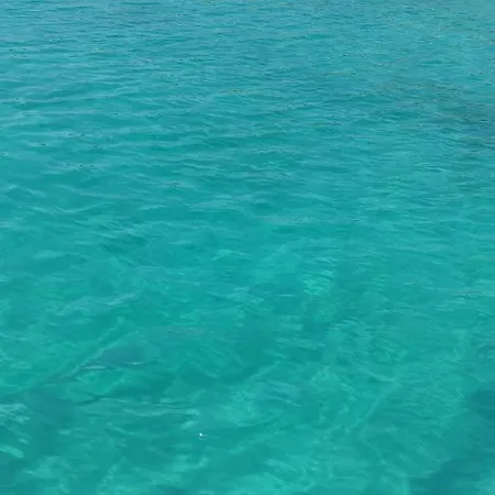 Blue Cruise With My Sailing Boat Botel